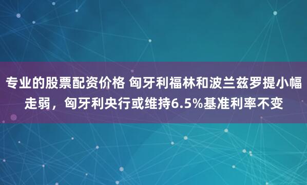专业的股票配资价格 匈牙利福林和波兰兹罗提小幅走弱，匈牙利央行或维持6.5%基准利率不变